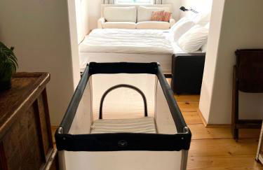 New furnished, exclusive large flat in City Center, 30min to Airport - Foto 17