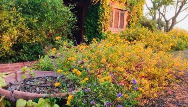 Cottage Leisure - Photo 3