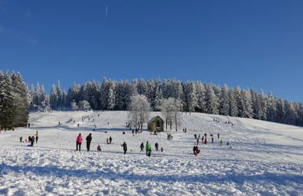 Rennsteig-Pension Trautwein - Foto 27