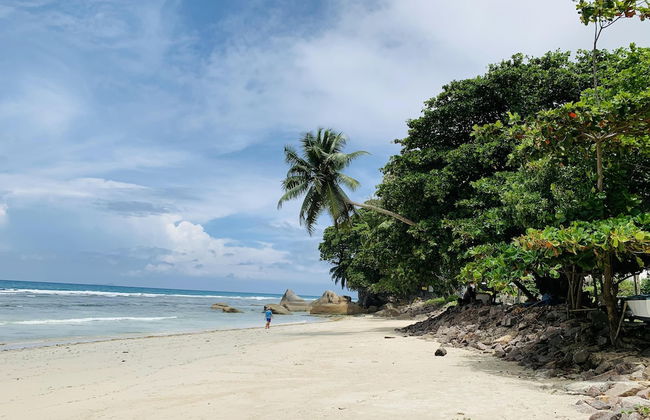 Oceanic View Apartments - Foto 65