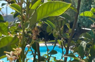 POLE POLE beautiful villa in Mati - Foto 76