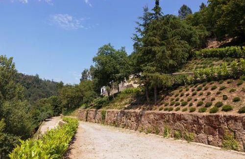 Douro Green - Foto 24