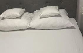 Palm Blues - Photo 21