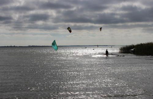 Boddenpieper - Foto 14