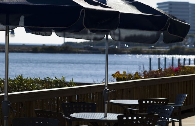 Chase Suite Hotel Rocky Point Tampa - Foto 42