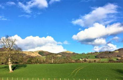 Heron's View - Photo 17