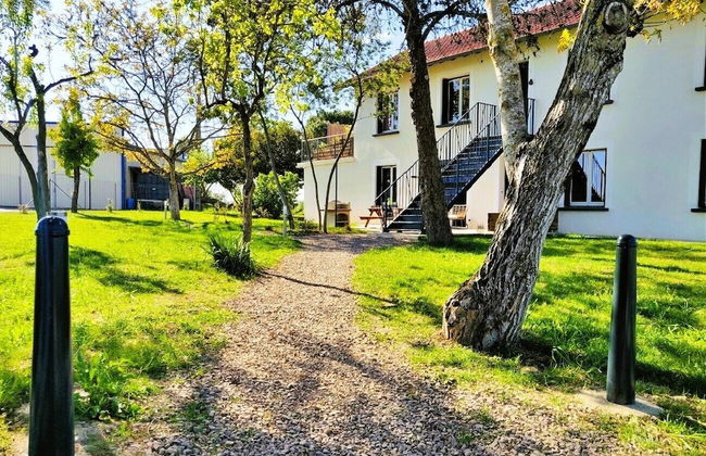 Le Cottage Nature Syrah - Foto 27