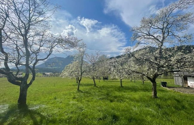 Farmhouse in Soll Near Wilder Kaiser Ski Area - Foto 20