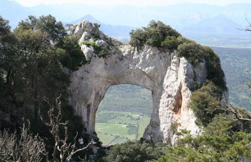 Agriturismo Rubinu - Photo 51