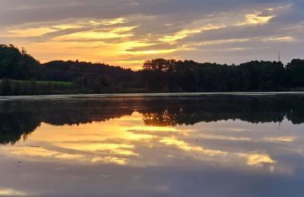 Appartement 1 - Foto 12