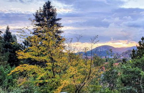 Apartments Villa-Ratskopf Wernigerode - Photo 63