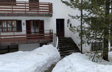 Blue Mountain - Foto 19