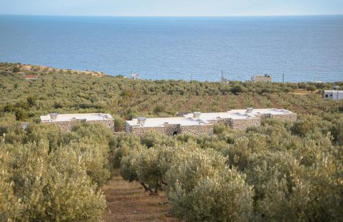 Chryselia Suites- Private Pool - Foto 57