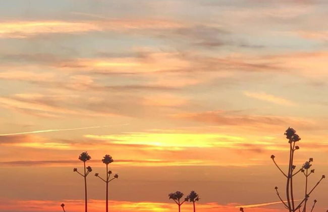 Cosy Cottage Near Hartland Village - Photo 12