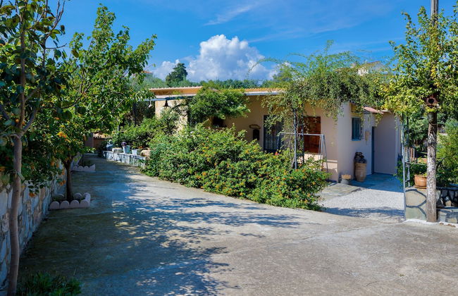 The Olive House - Photo 29