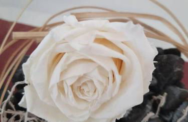 Ferienwohnung FeWo Rottweil -kleine Auszeit- - Foto 13