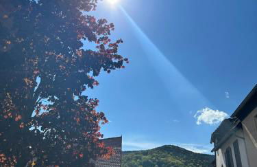 Ferienhaus Haisel Vier - Foto 41