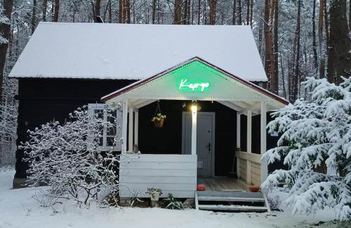 Wilga - urokliwy dom z bala (50 km od Warszawy) - Foto 25