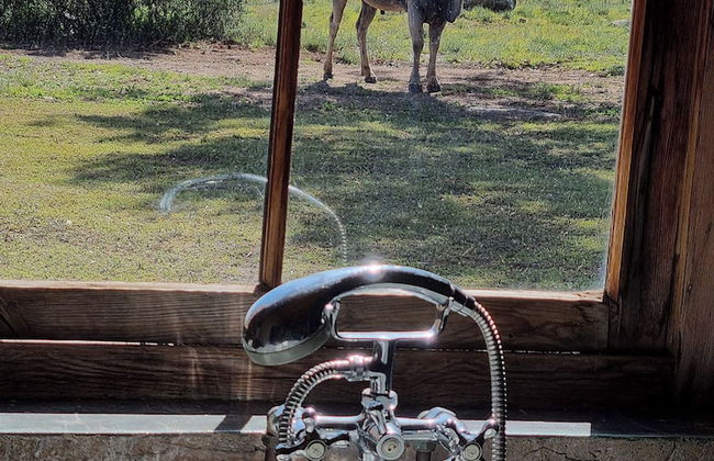 Sneeuberg Nature Reserve - Foto 42