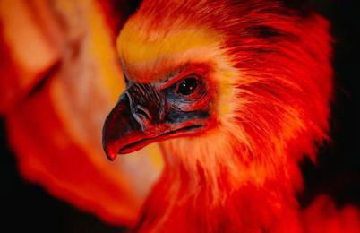 Sorcier magique - immersive cinema 4k laser & Air-cond & Parking - Foto 1