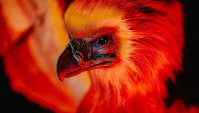 Sorcier magique - immersive cinema 4k laser & Air-cond & Parking - Foto 1