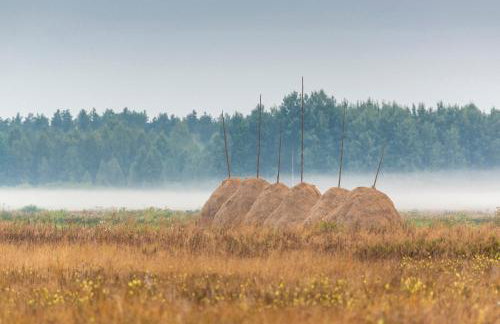 Lipowy Zakątek to miejsce bez gospodarzy i na wyłączność - Foto 33