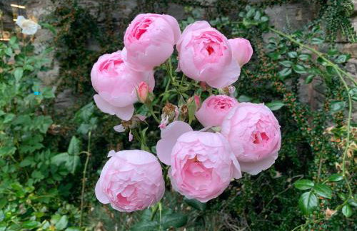 White Haywood Farmhouse - Photo 41