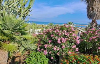 Passione Mare - Foto 50