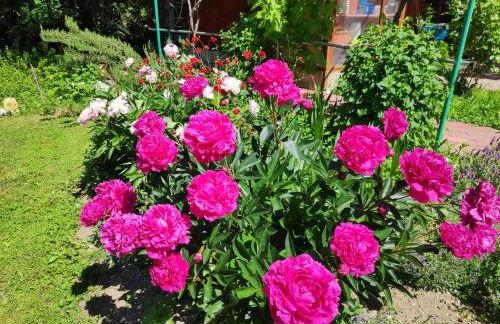 Entre Bourges et Sancerre Escale Bien-Être - Foto 27