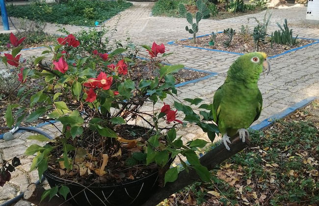 FINCA ECOTURISTICA LOS JAGUEYES - Foto 10