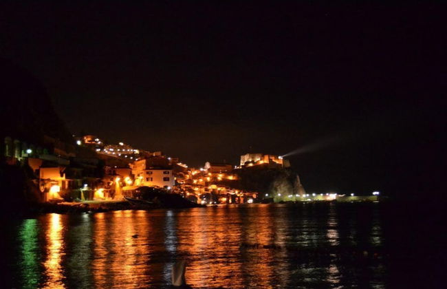 Case Love Scilla - Photo 28