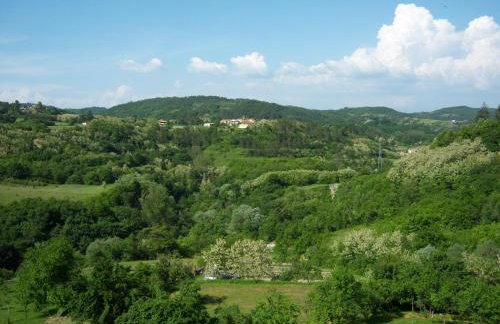 Apartment Kaštel - Foto 21