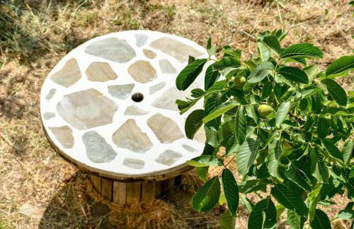 Forest View House Seta - Photo 23