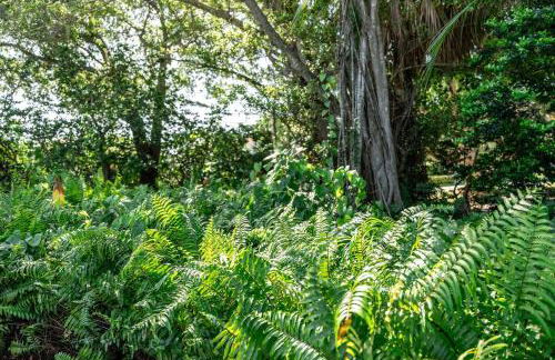 Siesta Key under The Banyan Tree 3 bed 3 bath - Foto 78