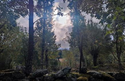 Casa rural El rincón de Gredos - Photo 42