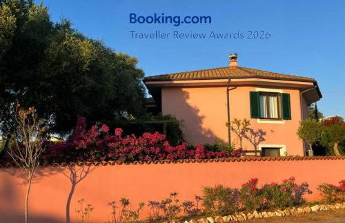 Domo Rosada - Foto 1