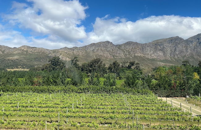 Rose Cottage - Foto 35