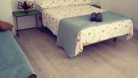 Alona Home - Photo 4