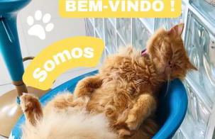 Casa do Lamarques - Foto 24