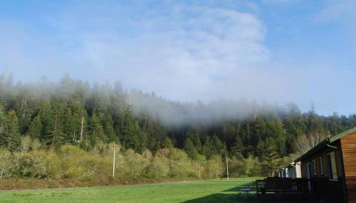Elk Meadow Cabins 11B Roosevelt Elk - Single Room - Foto 2