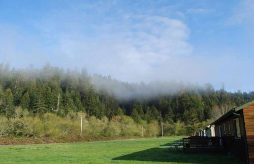 Elk Meadow Cabins 11B Roosevelt Elk - Single Room - Photo 2
