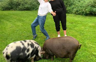 Starry Meadow & Rescued Animal Experiences - Foto 62