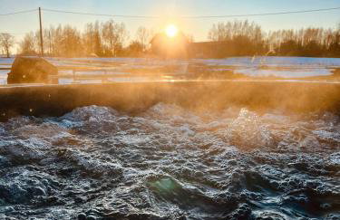 Vilanovka - domki z prywatną balią przy stawie i lesie - Foto 69