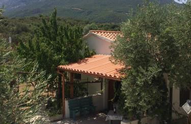 Villa L'Oliveto - Foto 7