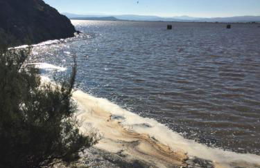 T 3 appart les jardins du phœbus - Foto 20