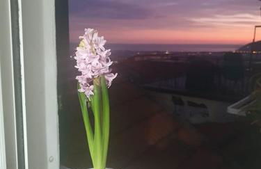 Appartamento Bellavista - Foto 24