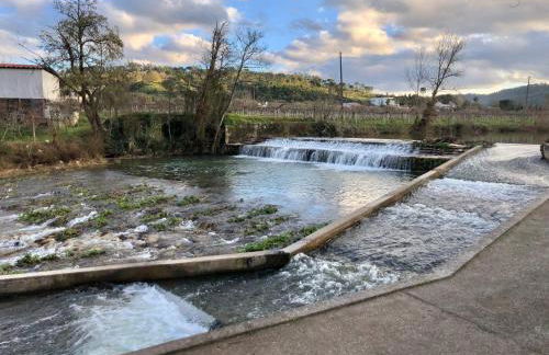 Galerias 90 - Foto 38