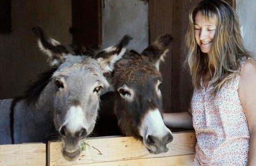 Ferienhof am Ipf - Foto 13