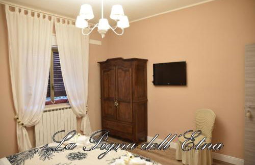 La Pigna dell'Etna - Foto 12