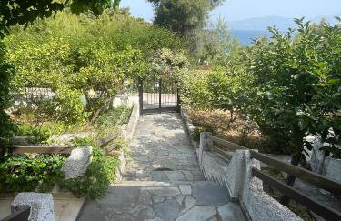 ILIOCHARI sea view apartments Oropos - Kalamos - Foto 57